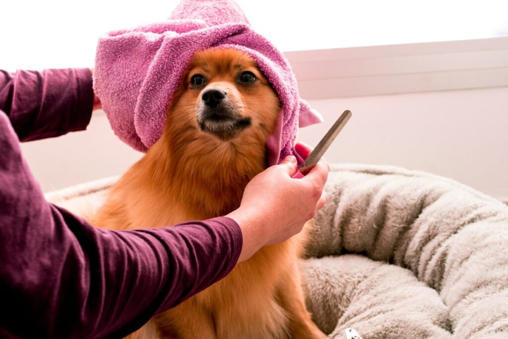 Grooming